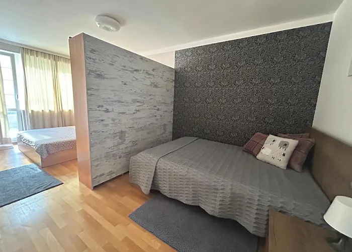 Luxury Ani Apartament Burgas