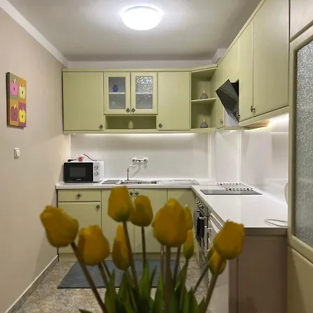 Luxury Ani Apartment *