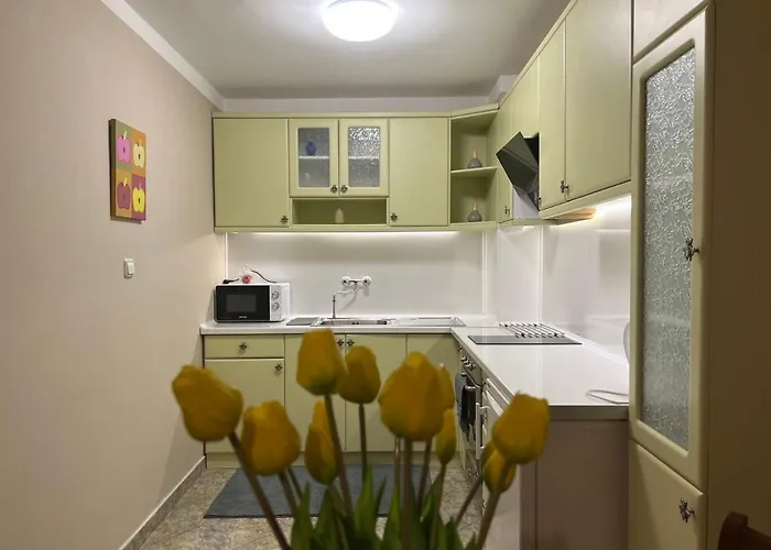 Luxury Ani Apartament *